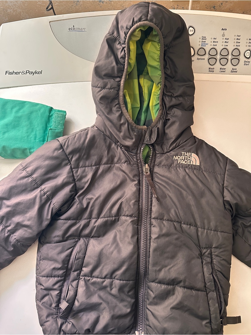 The North Face Youth Puffer Jacket in Gray with Green Lining